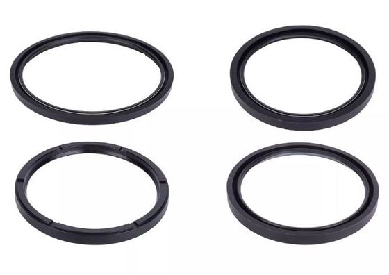 Môi kép tùy chỉnh FKM Silicone cao su con dấu